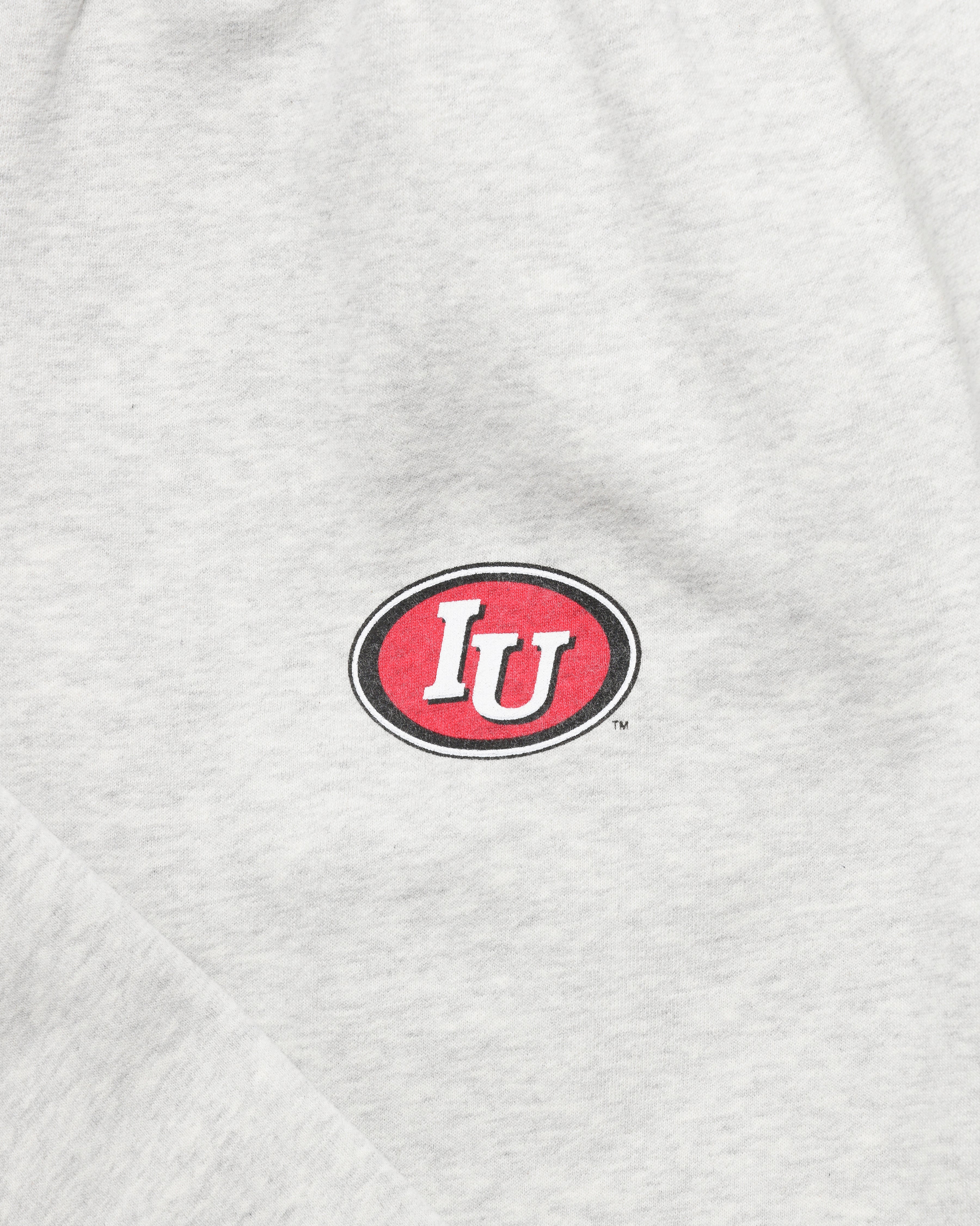 47-parke-boxer-sweatpants-indiana-hoosiers-jogginghose-grau image 2