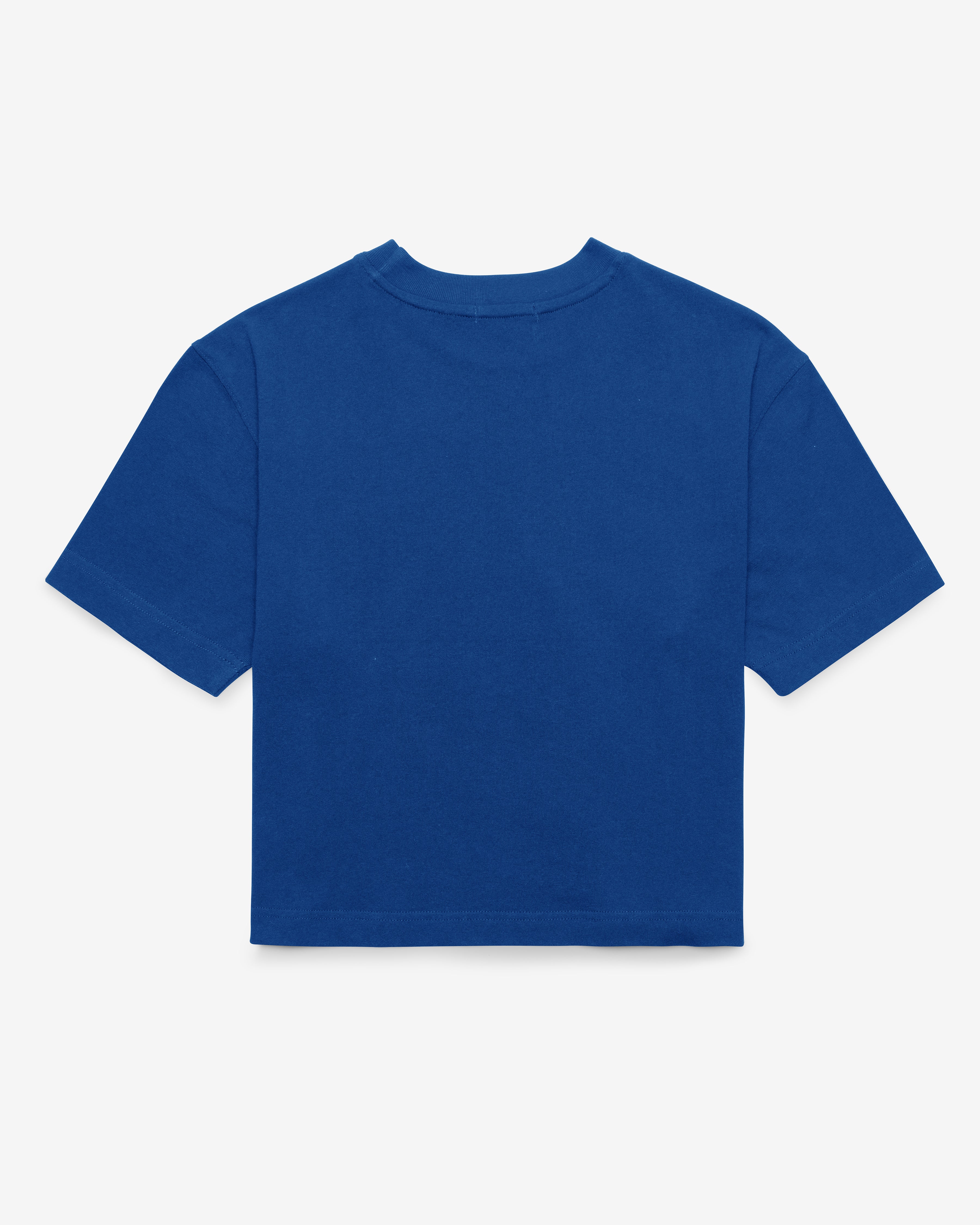 47-reed-city-cubs-bite-zone-t-shirt-royal-s image 2