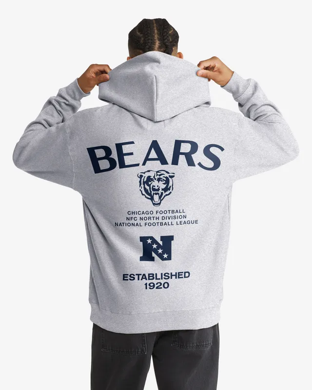 47-brand-constantine-bears-hoodie-quartz-grey-herren-fleece image 1