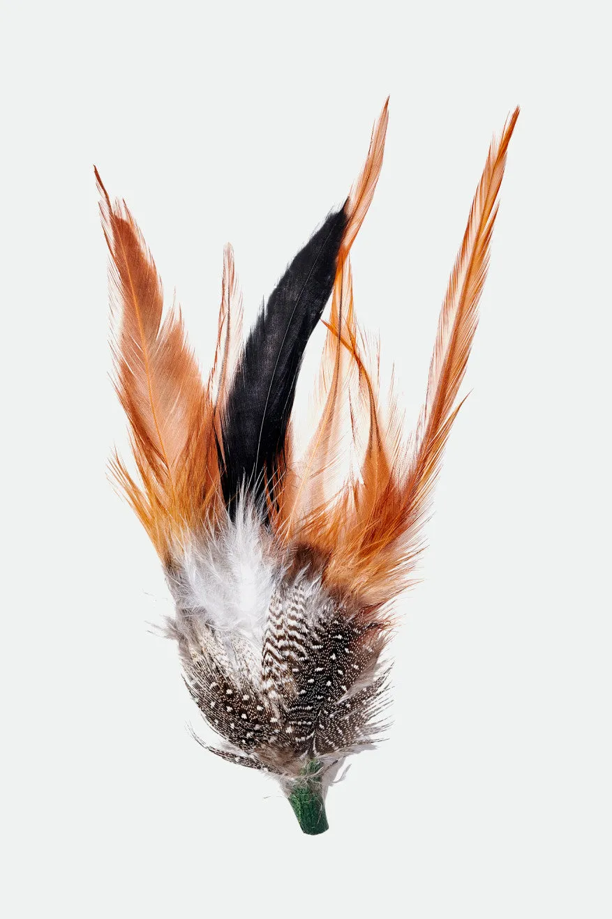 brixton-hat-feather-hutfeder-burnt-orange-black-mahogany image 1