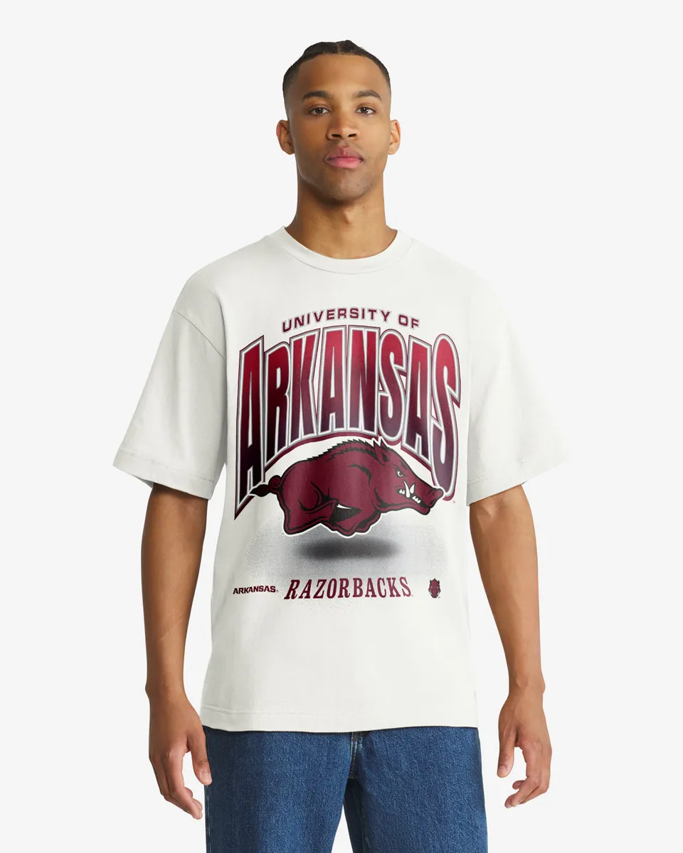 47-brand-arkansas-herren-t-shirt-sandstone-team-flex-tee image 1