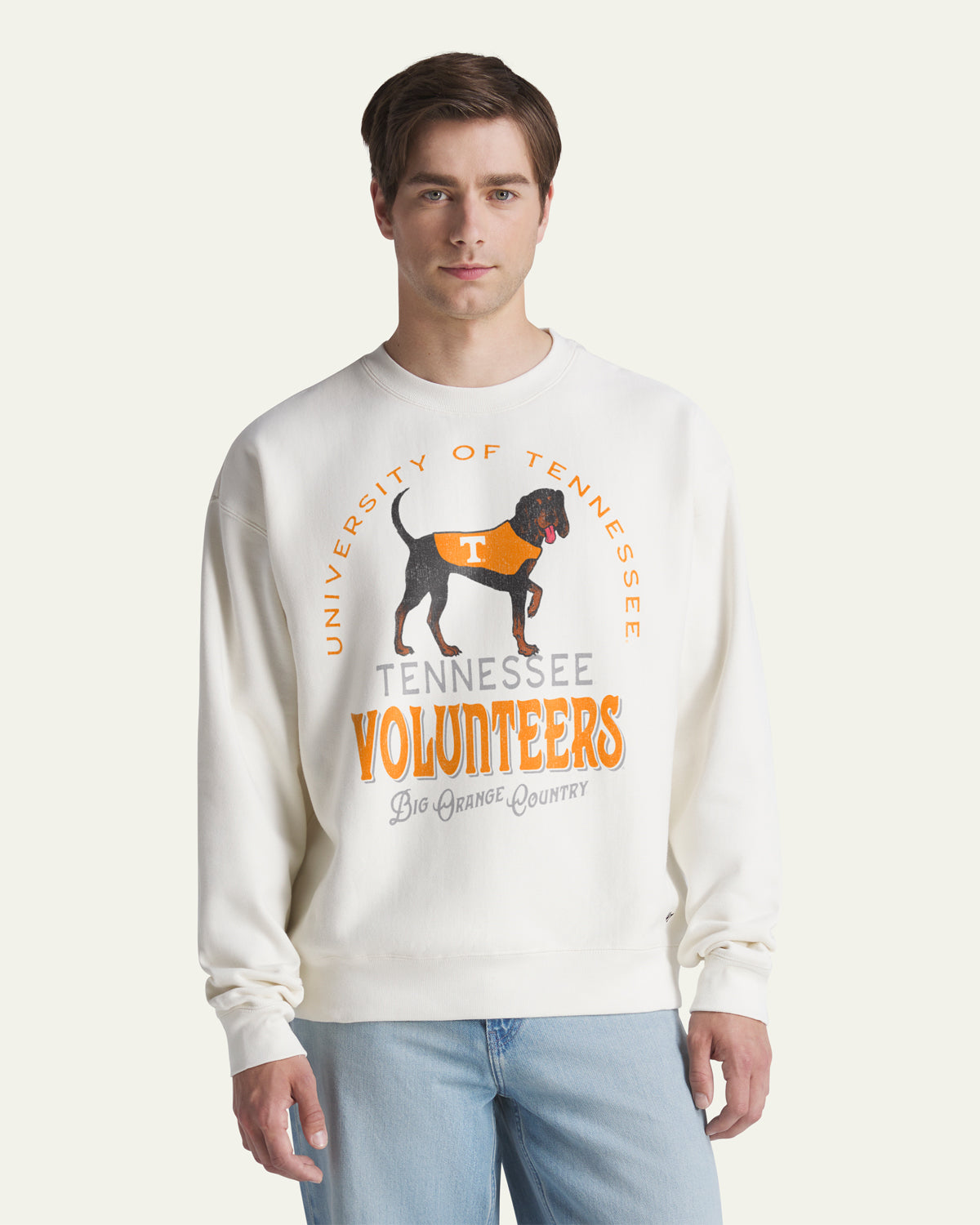 47-tennessee-volunteers-everyday-t-shirt-sandstone-herren image 1