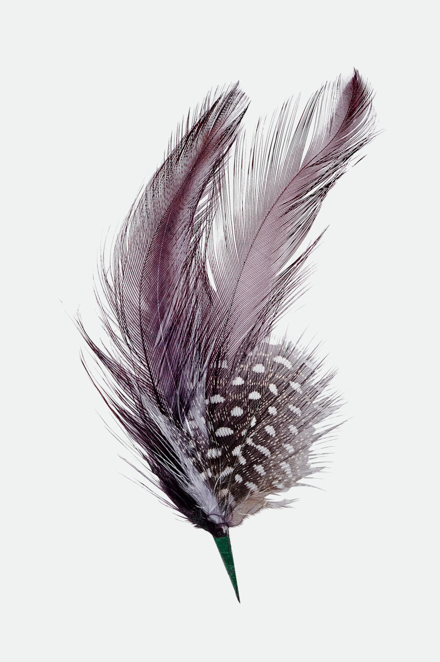 brixton-hat-feather-hutfeder-burnt-henna-black-naturfeder image 1