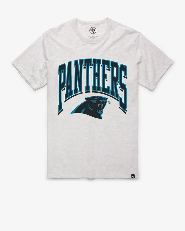 47-franklin-carolina-panthers-walk-tall-t-shirt-relay-grey image 1