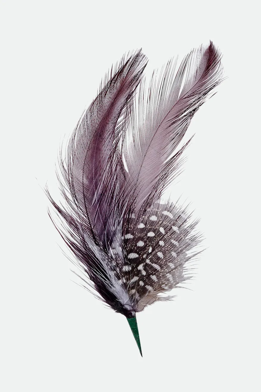 brixton-hat-feather-hutfeder-burnt-henna-black-naturfeder image 1