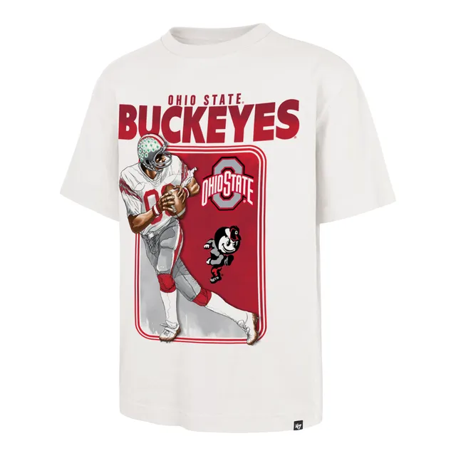 47-foundation-tee-ohio-state-buckeyes-vintage-playbrush-t-shirt-sandstone-l image 1