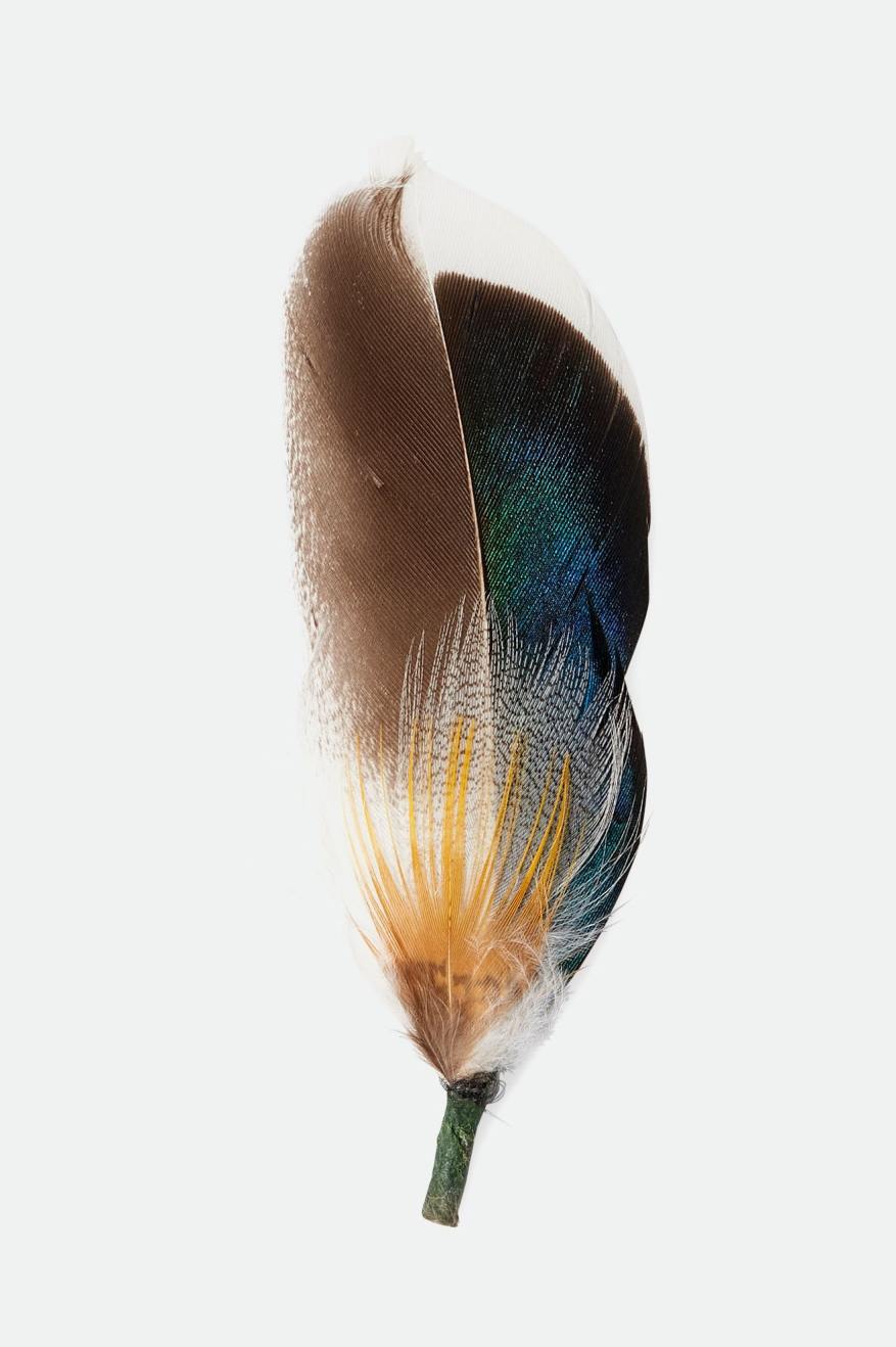 brixton-hat-feather-hutfeder-moonlit-ocean image 1