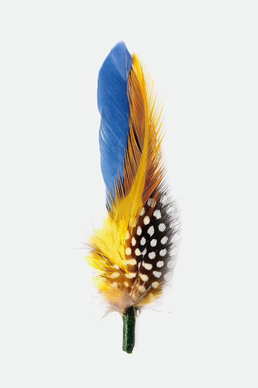 brixton-hat-feather-hutfeder-joe-blue-black-yellow image 1