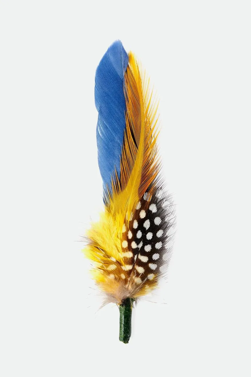 brixton-hat-feather-hutfeder-joe-blue-black-yellow image 1