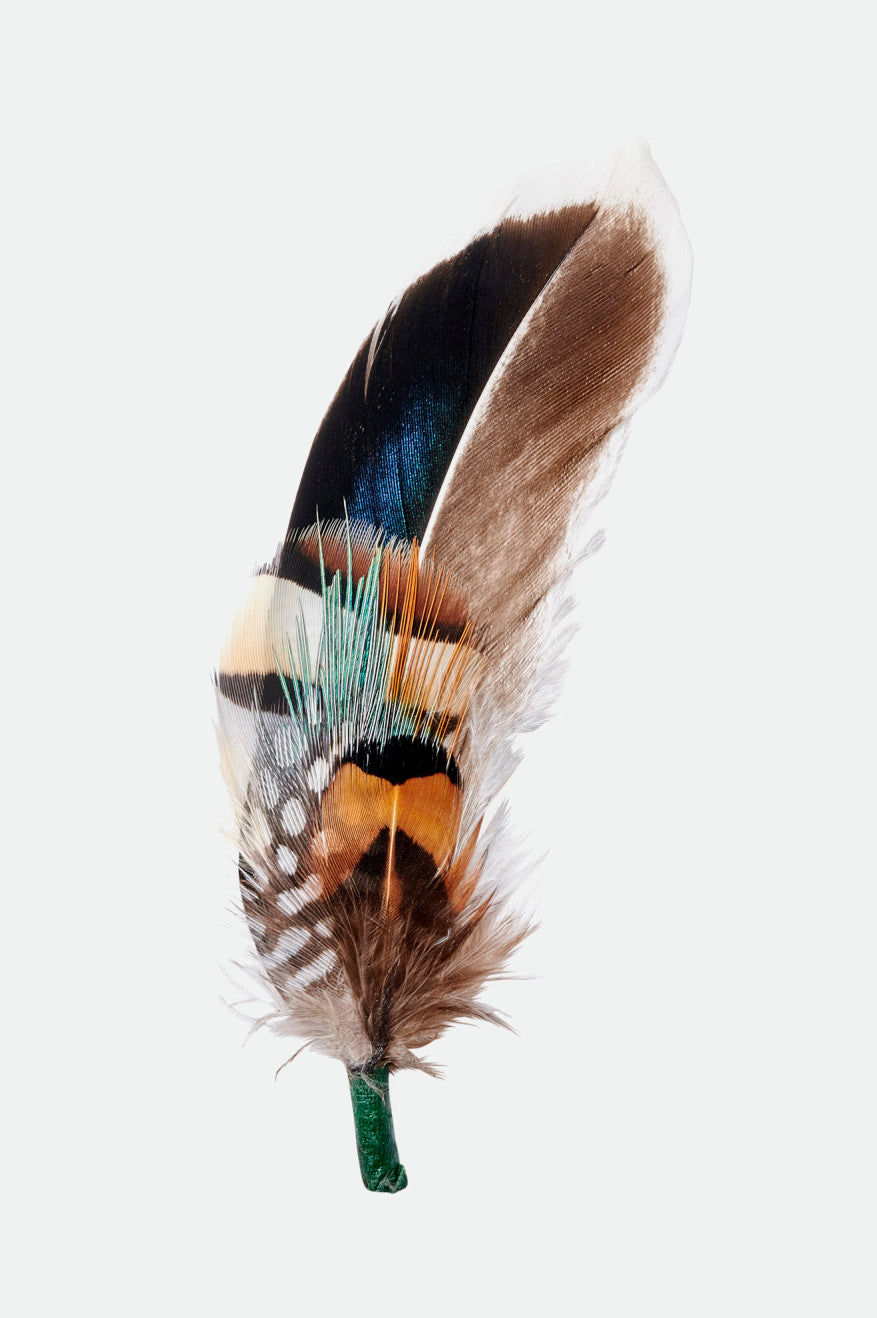 brixton-hat-feather-hutfeder-bison-mojave-burnt-orange image 1