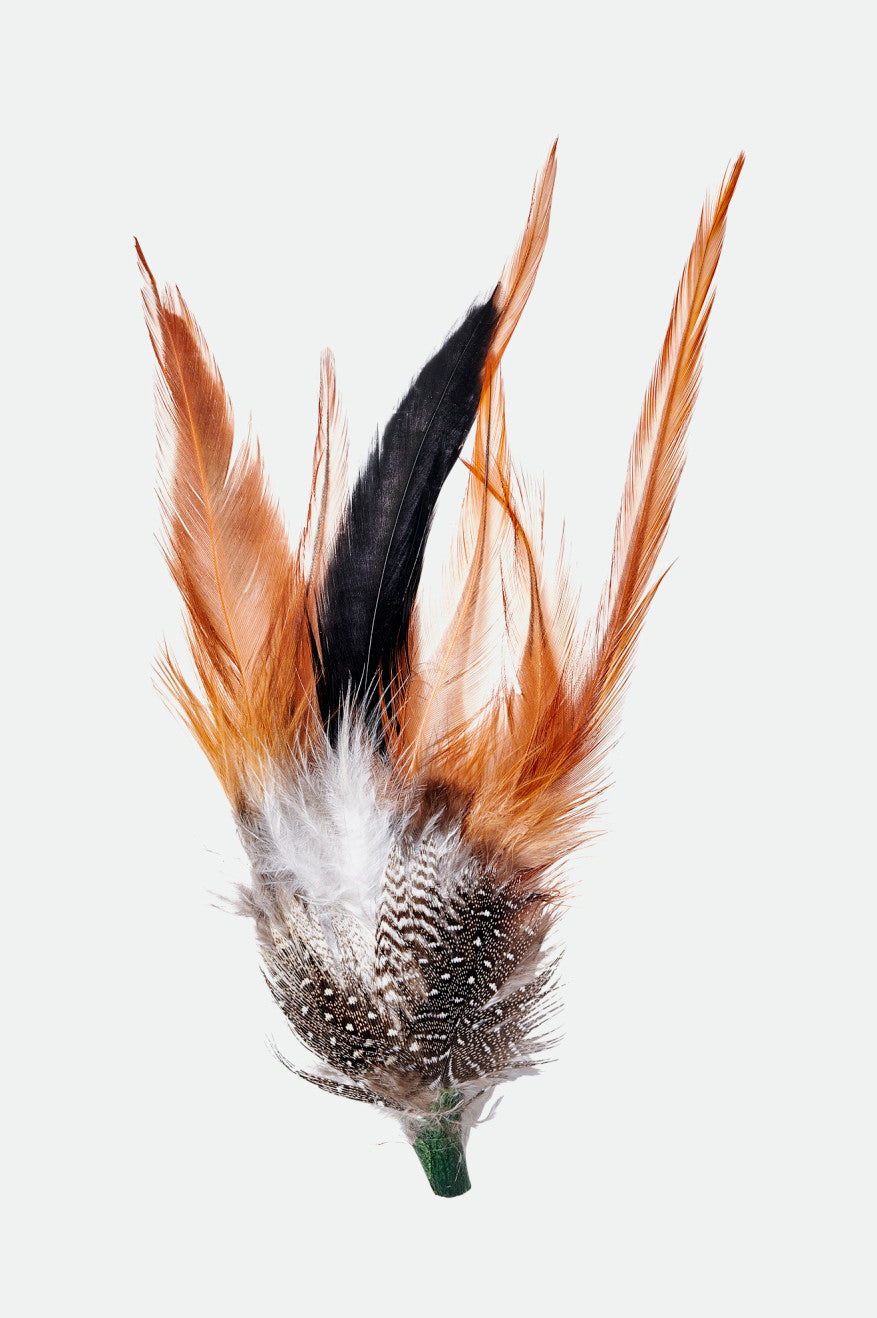 brixton-hat-feather-hutfeder-burnt-orange-black-mahogany image 1