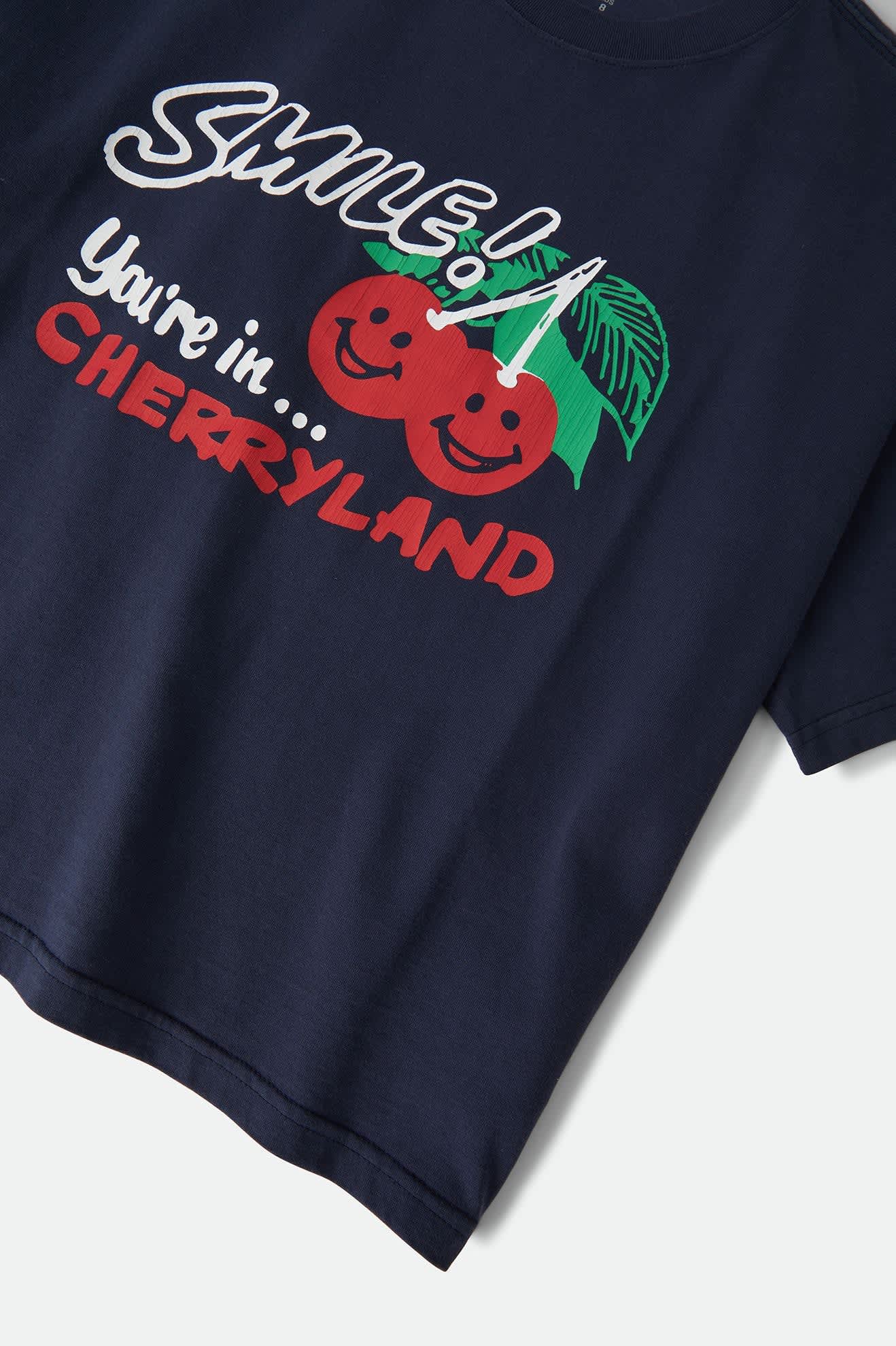 brixton-cherryland-boxy-cropped-crew-washed-navy image 7
