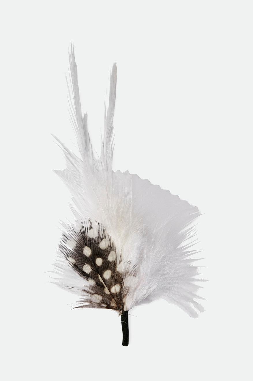 brixton-hat-feather-hutfeder-white-black-naturfeder-hut-accessoire image 1